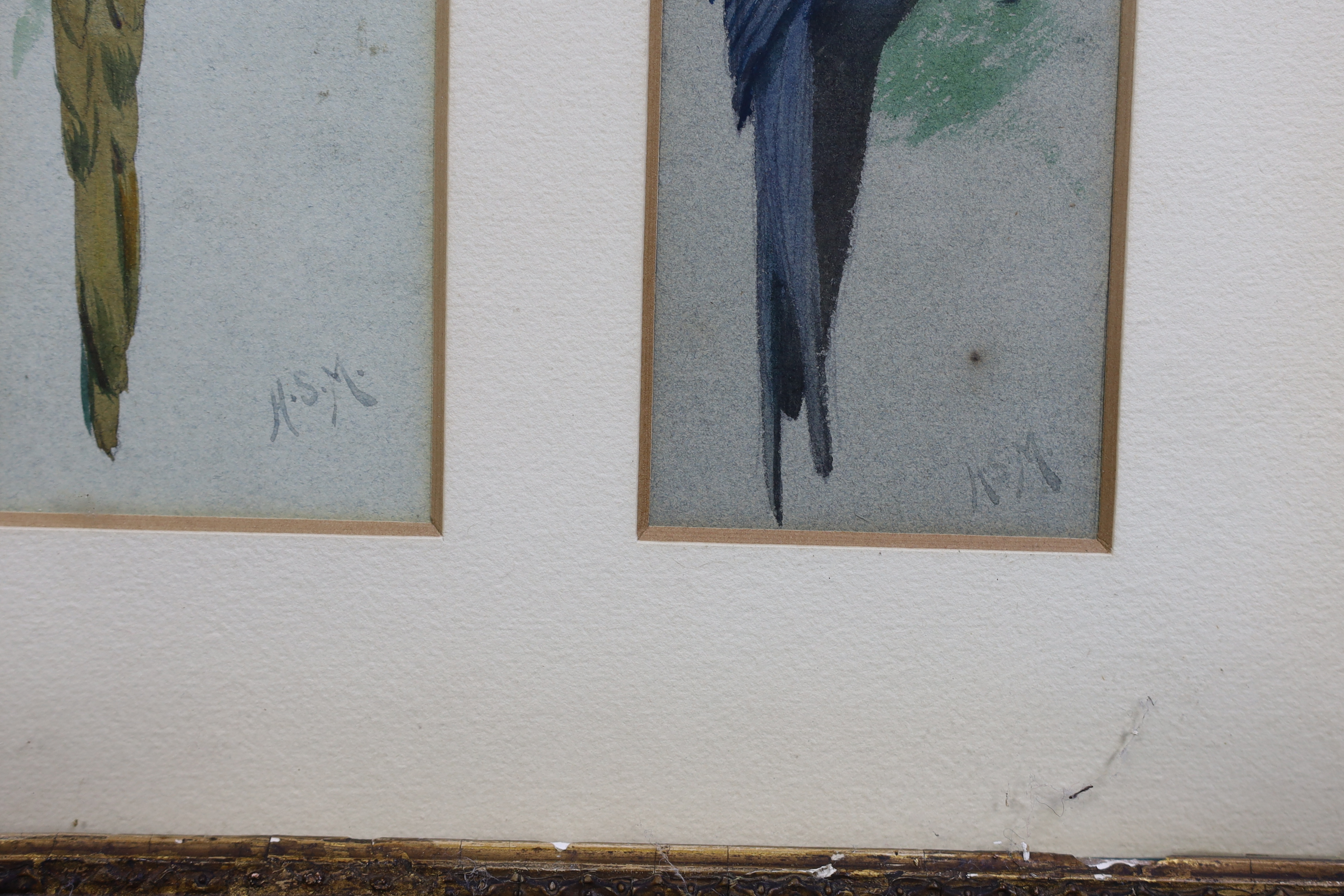 Henry Stacy Marks R.A., (British, 1829-1898), Blue and Yellow Macaw and Hyacinth Macaw, watercolour (2), each 17.5 x 7cm